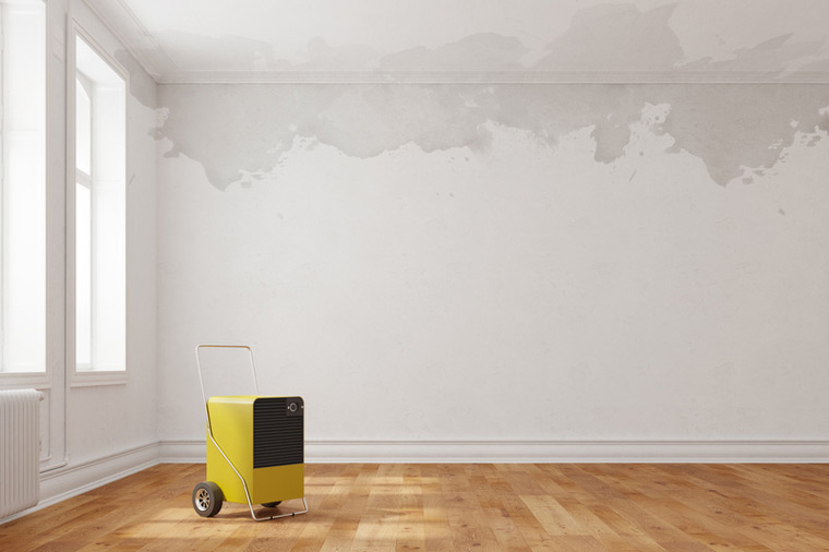 Bautrocknung von KTS Kaempfel